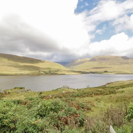 Ben View * رينفيلي