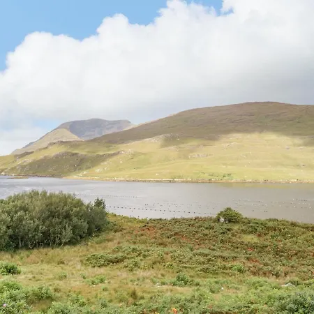 Ben View * رينفيلي