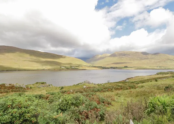 Ben View * レンバイル