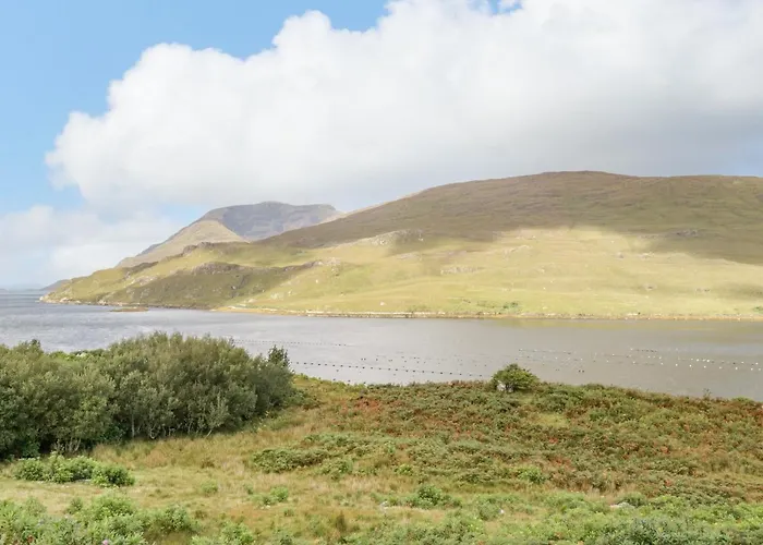 Ben View * レンバイル